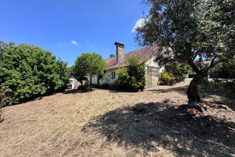 Villa i Tomar, Santarem, Tomar - € 130.000 | Ref: TL015 - foto 4