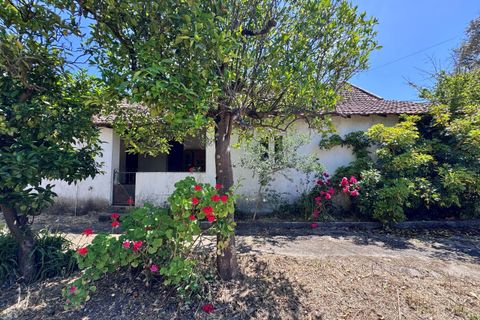 Villa i Tomar, Santarem, Tomar - € 130.000 | Ref: TL015 - foto 23