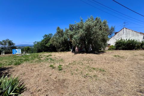 Villa i Tomar, Santarem, Tomar - € 130.000 | Ref: TL015 - foto 24