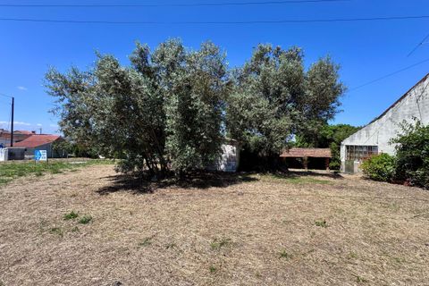 Villa i Tomar, Santarem, Tomar - € 130.000 | Ref: TL015 - foto 25