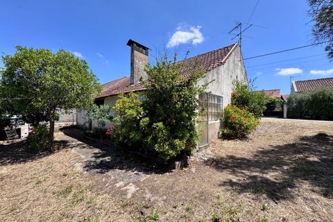 Villa i Tomar, Santarem, Tomar - € 130.000 | Ref: TL015 - foto 26