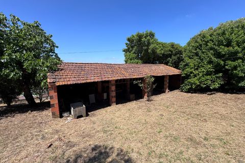 Villa i Tomar, Santarem, Tomar - € 130.000 | Ref: TL015 - foto 27