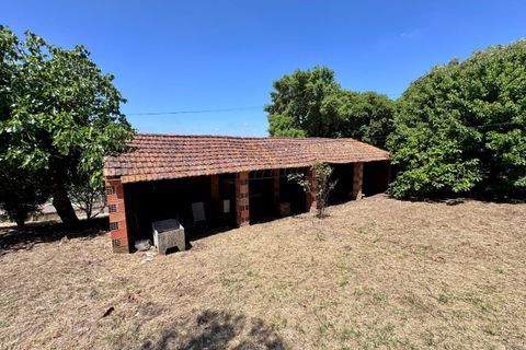 Villa i Tomar, Santarem, Tomar - € 130.000 | Ref: TL015 - foto 28
