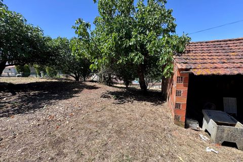 Villa i Tomar, Santarem, Tomar - € 130.000 | Ref: TL015 - foto 29