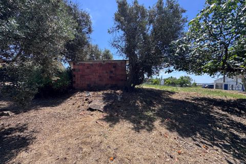 Villa i Tomar, Santarem, Tomar - € 130.000 | Ref: TL015 - foto 30