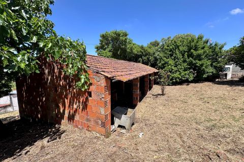 Villa i Tomar, Santarem, Tomar - € 130.000 | Ref: TL015 - foto 31