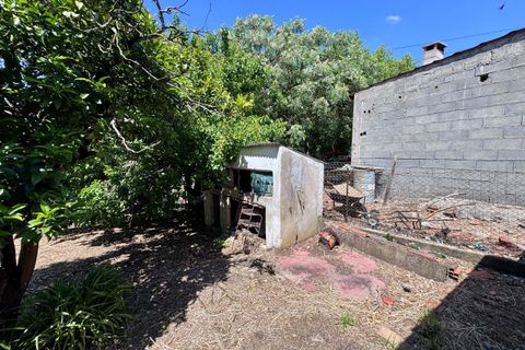 Villa i Tomar, Santarem, Tomar - € 130.000 | Ref: TL015 - foto 32