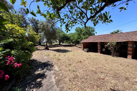 Villa i Tomar, Santarem, Tomar - € 130.000 | Ref: TL015 - foto 33
