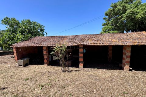 Villa i Tomar, Santarem, Tomar - € 130.000 | Ref: TL015 - foto 35
