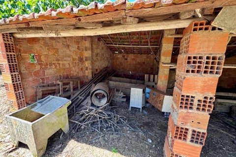 Villa i Tomar, Santarem, Tomar - € 130.000 | Ref: TL015 - foto 38