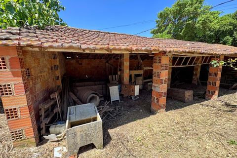 Villa i Tomar, Santarem, Tomar - € 130.000 | Ref: TL015 - foto 39