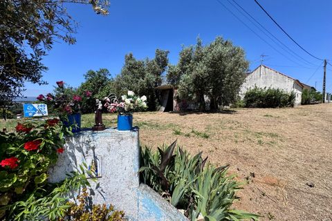 Villa i Tomar, Santarem, Tomar - € 130.000 | Ref: TL015 - foto 40