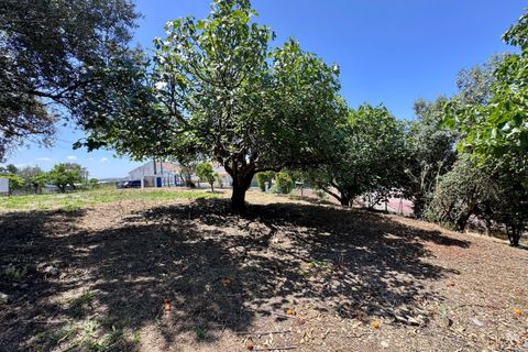 Villa i Tomar, Santarem, Tomar - € 130.000 | Ref: TL015 - foto 41