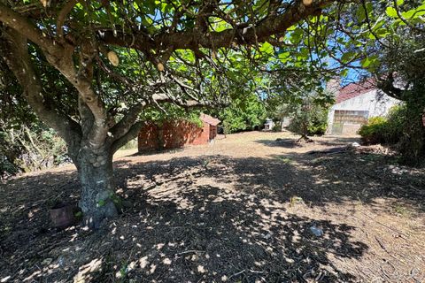Villa i Tomar, Santarem, Tomar - € 130.000 | Ref: TL015 - foto 42