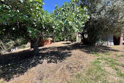 Villa i Tomar, Santarem, Tomar - € 130.000 | Ref: TL015 - foto 43