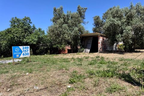 Villa i Tomar, Santarem, Tomar - € 130.000 | Ref: TL015 - foto 44