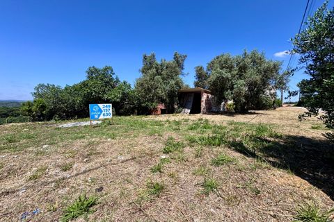 Villa i Tomar, Santarem, Tomar - € 130.000 | Ref: TL015 - foto 45