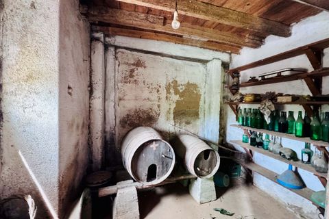 Villa i Tomar, Santarem, Tomar - € 85.000 | Ref: TL020 - foto 7