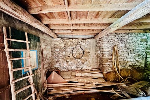 Villa i Tomar, Santarem, Tomar - € 85.000 | Ref: TL020 - foto 10