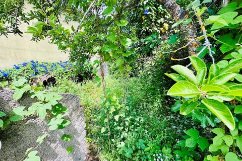 Villa i Tomar, Santarem, Tomar - € 85.000 | Ref: TL020 - foto 30