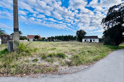 Villa i Tomar, Santarem, Tomar - € 99.000 | Ref: TL029 - foto 2