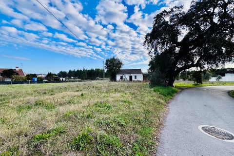 Villa i Tomar, Santarem, Tomar - € 99.000 | Ref: TL029 - foto 3