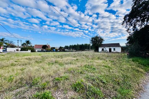 Villa i Tomar, Santarem, Tomar - € 99.000 | Ref: TL029 - foto 4