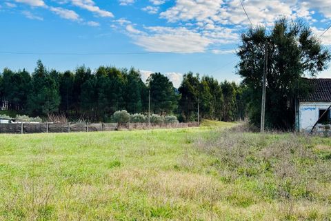 Villa i Tomar, Santarem, Tomar - € 99.000 | Ref: TL029 - foto 5