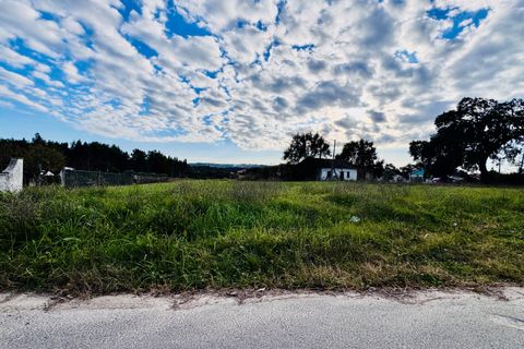 Villa i Tomar, Santarem, Tomar - € 99.000 | Ref: TL029 - foto 6