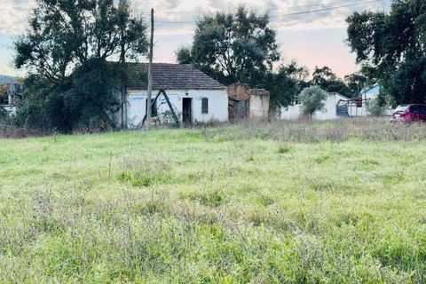 Villa i Tomar, Santarem, Tomar - € 99.000 | Ref: TL029 - foto 9