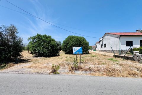 Helårsgrund i Tomar, Santarem, Tomar - € 65.000 | Ref: TL025 - foto 2