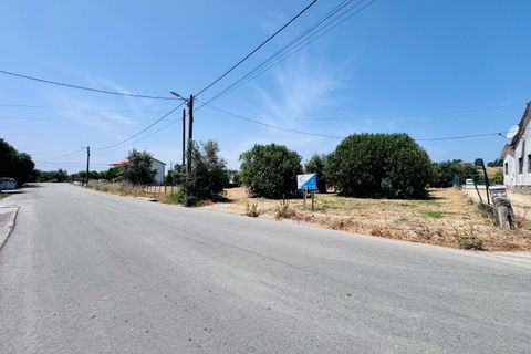 Helårsgrund i Tomar, Santarem, Tomar - € 65.000 | Ref: TL025 - foto 8