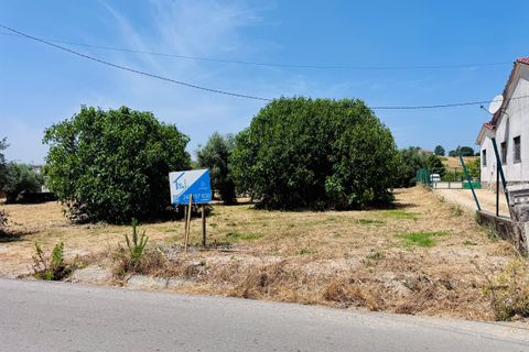 Helårsgrund i Tomar, Santarem, Tomar - € 65.000 | Ref: TL025 - foto 9