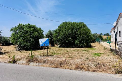 Helårsgrund i Tomar, Santarem, Tomar - € 65.000 | Ref: TL025 - foto 10
