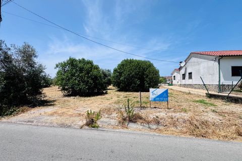 Helårsgrund i Tomar, Santarem, Tomar - € 65.000 | Ref: TL025 - foto 11