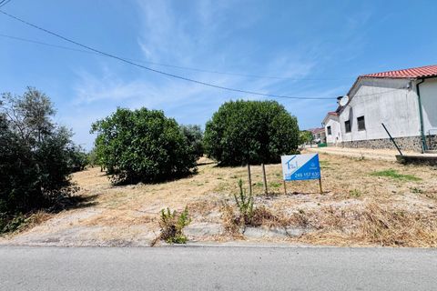 Helårsgrund i Tomar, Santarem, Tomar - € 65.000 | Ref: TL025 - foto 12