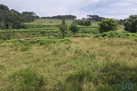 Byhus i Moncao, Viana do Castelo, Moncao - € 280.000 | Ref: 144194 - foto 7