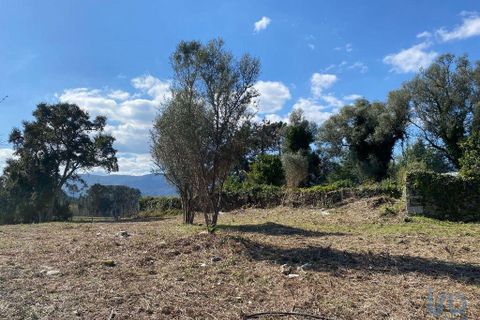 Byhus i Moncao, Viana do Castelo, Moncao - € 280.000 | Ref: 144194 - foto 13