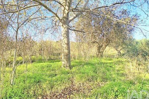 Terra a Palmela, Setubal, Palmela - € 205.000 | Ref: 143001 - foto 11