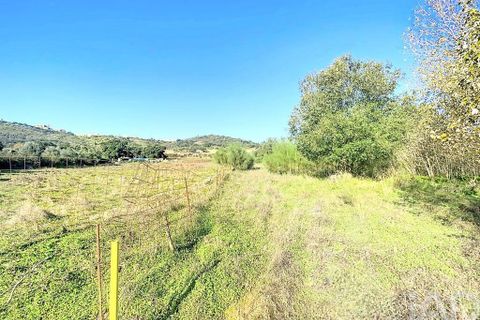 Terra a Palmela, Setubal, Palmela - € 205.000 | Ref: 143001 - foto 12