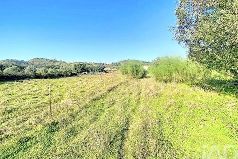 Terra a Palmela, Setubal, Palmela - € 205.000 | Ref: 143001 - foto 13