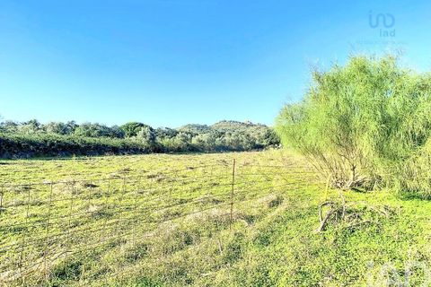 Terra a Palmela, Setubal, Palmela - € 205.000 | Ref: 143001 - foto 15