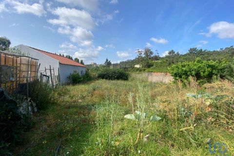 Byhus i Obidos, Leiria, Obidos - € 267.000 | Ref: 144389 - foto 9