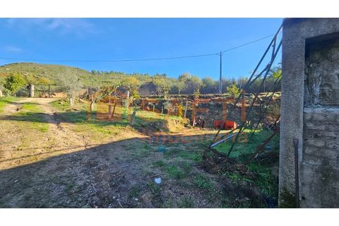 Landejendom i Guarda, Guarda, Guarda - € 325.000 | Ref: SAFTI:006833 - foto 10