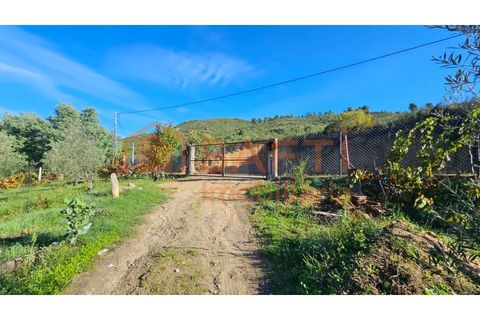 Landejendom i Guarda, Guarda, Guarda - € 325.000 | Ref: SAFTI:006833 - foto 12