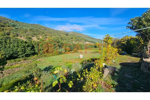 Landejendom i Guarda, Guarda, Guarda - € 325.000 | Ref: SAFTI:006833 - foto 13