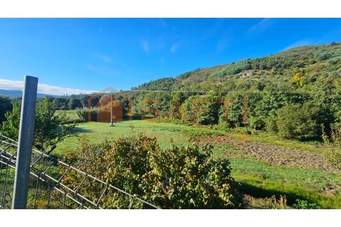 Landejendom i Guarda, Guarda, Guarda - € 325.000 | Ref: SAFTI:006833 - foto 14