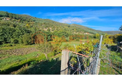 Landejendom i Guarda, Guarda, Guarda - € 325.000 | Ref: SAFTI:006833 - foto 15