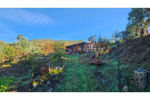 Landejendom i Guarda, Guarda, Guarda - € 325.000 | Ref: SAFTI:006833 - foto 17