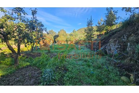 Landejendom i Guarda, Guarda, Guarda - € 325.000 | Ref: SAFTI:006833 - foto 18